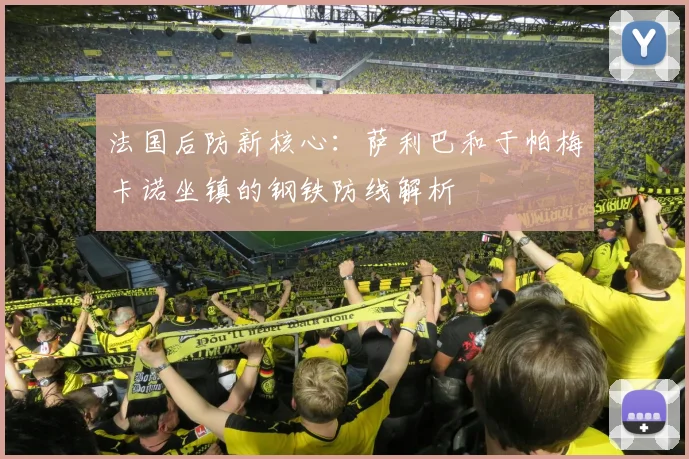 法国后防新核心：萨利巴和于帕梅卡诺坐镇的钢铁防线解析