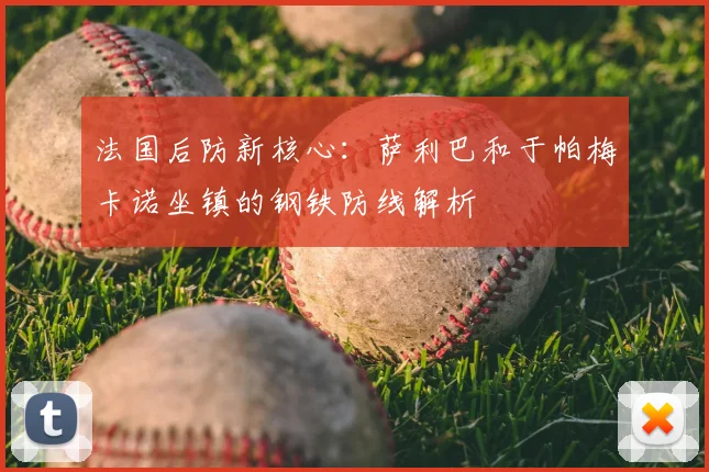 法国后防新核心:萨利巴和于帕梅卡诺坐镇的钢铁防线解析